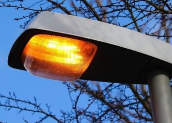 Prefeitura e Empresa de energia lançam parceria para cuidados com as árvores na cidade