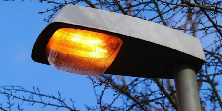 Prefeitura e Empresa de energia lançam parceria para cuidados com as árvores na cidade