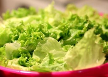 Biofortificação: pesquisa do IAC fala sobre o zinco nas folhas de alface