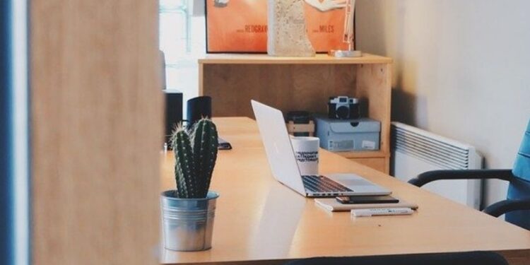 Estuda Friday: Universidade oferece desconto de 50% em cursos de graduação