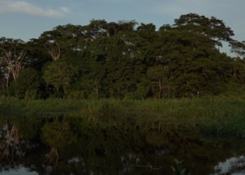 Série AMAZÔNIA, ARQUEOLOGIA DA FLORESTA, estreia on demand na plataforma do Sesc TV