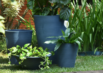 Vasos-de-jeans-vila-olimpia