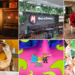 Programe-se com eventos para toda a família